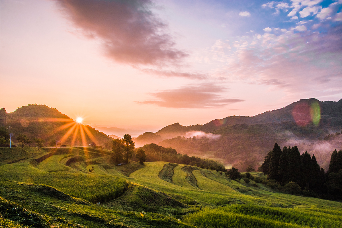 #絶景 大和田千枚田